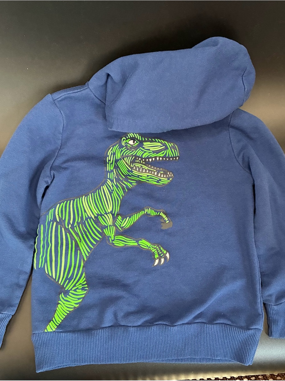Kids Size 4 Navy Hoodie with Green Dinosaur Graphic